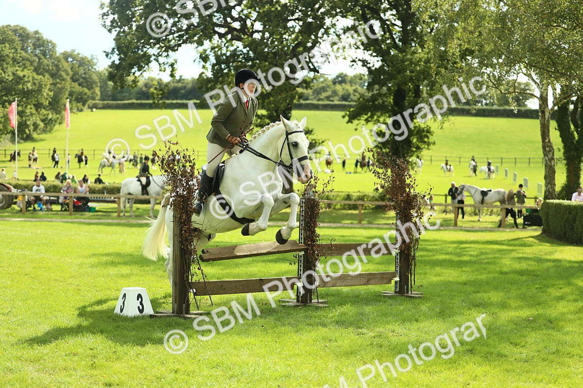 SBM_47933 - S32 - Novice & Newcomers Working Hunter