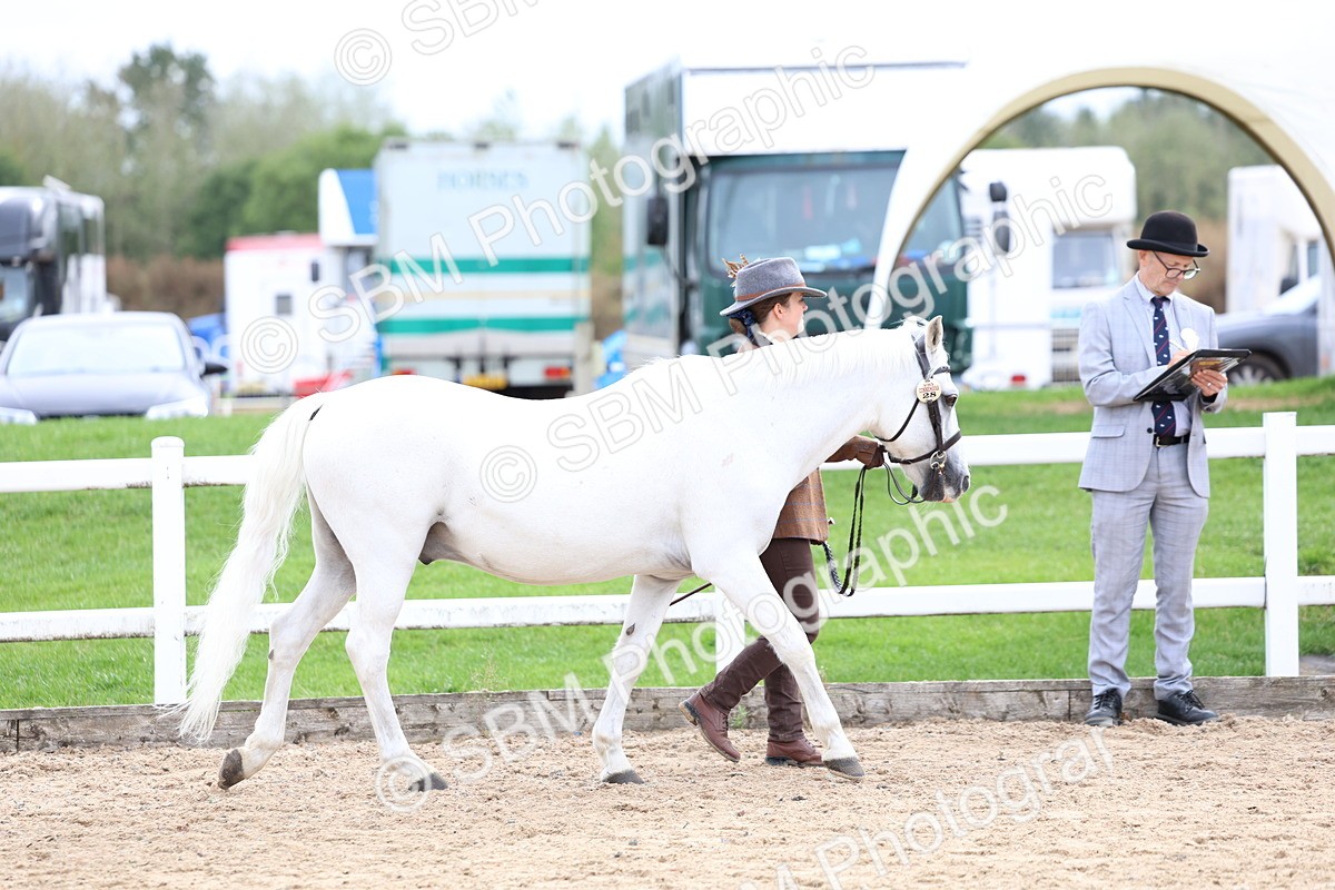 SBM_05814 - Class 29 - IH Veteran Pony