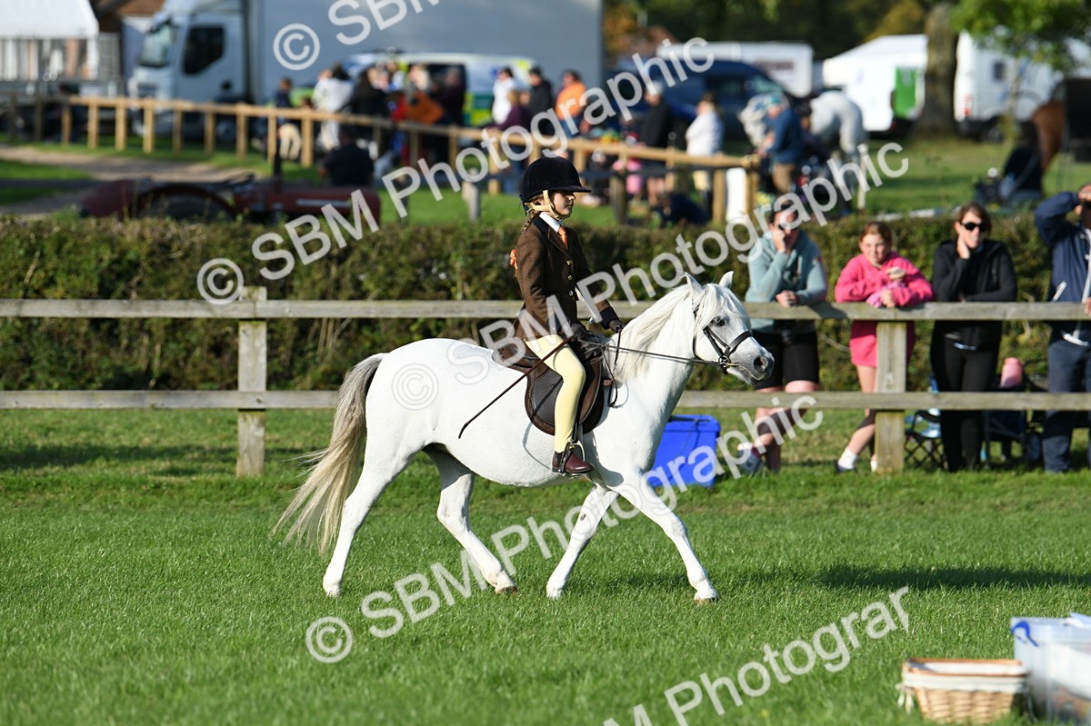 SBM_54047 - S23 - 1st Ridden Mountain & Moorland Pony