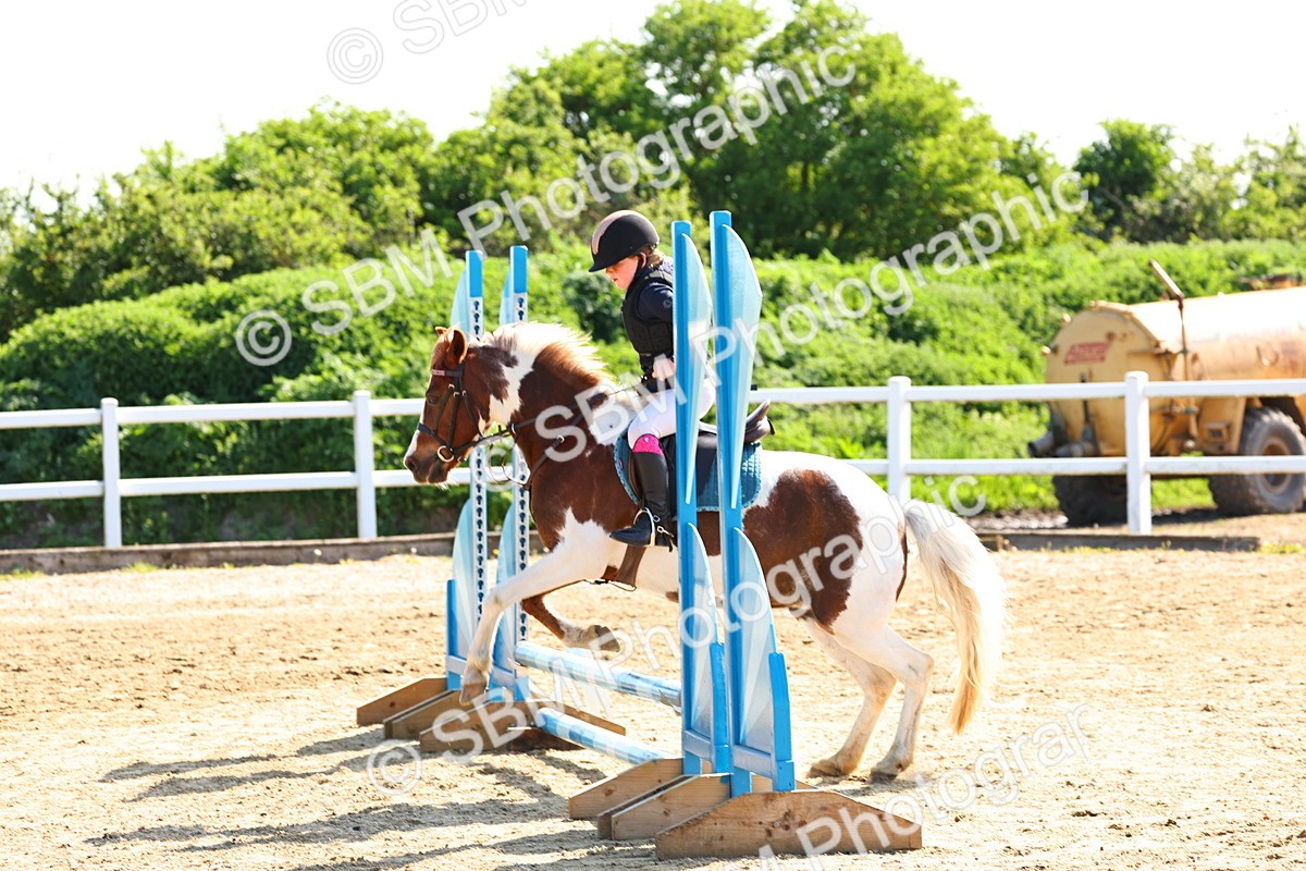 SBM_006667 - Class 2 - 50cm