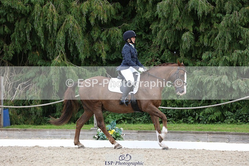 230812-135001-04323 - Cls 5 Novice Bronze 13.40 to 14.45 break