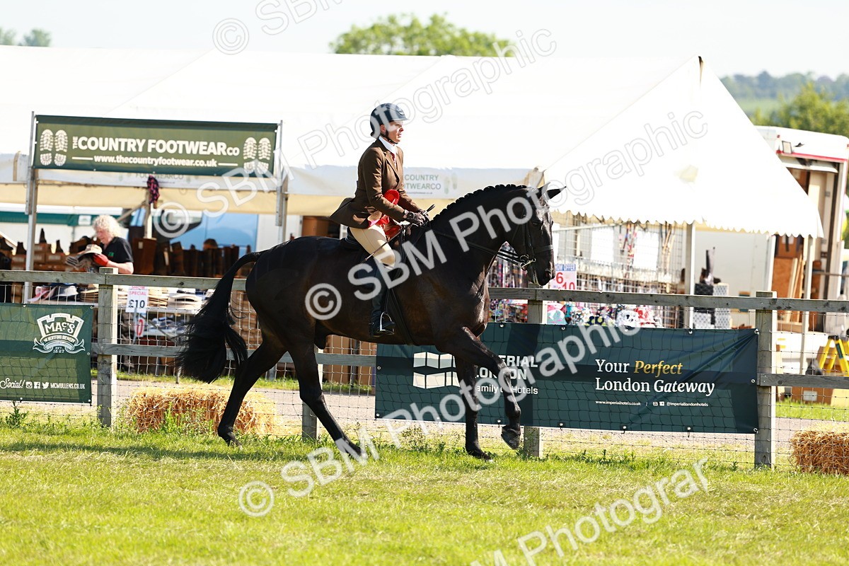 SBM_11914 - Class 66-69 - RIHS Ridden Hunters Inc Small Hunter