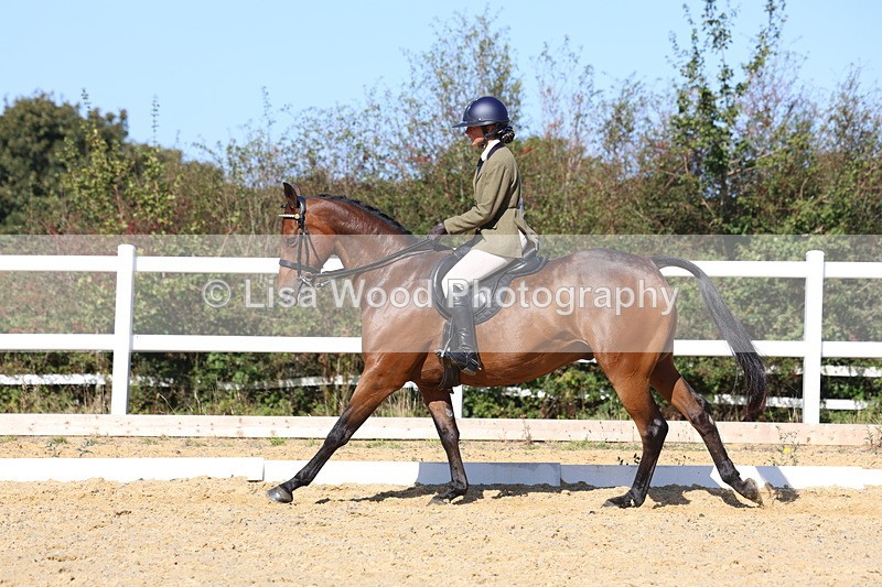3E7A5738 - Class 10: Riding Horse