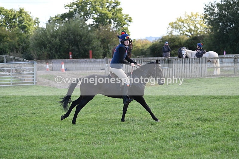 WJ7_1178 - Time 13:56 to 14:24