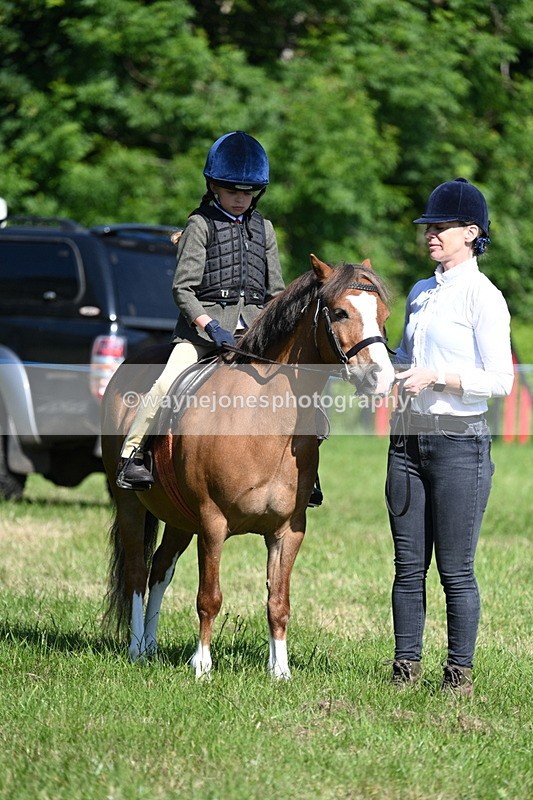 WJ7_0399 - Class 8 First Rally Pony
