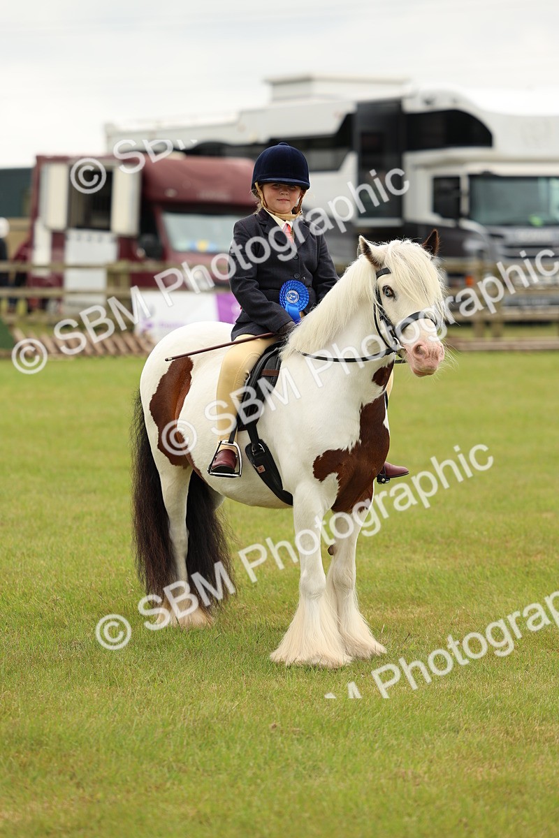 SBM_06296 - Class 39-41 TGCA In Hand and Ridden