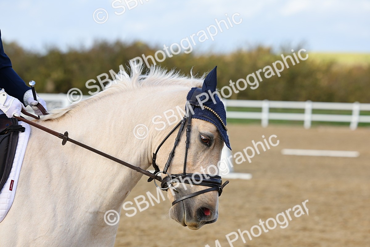 SBM_002769 - Class 12 - PYO