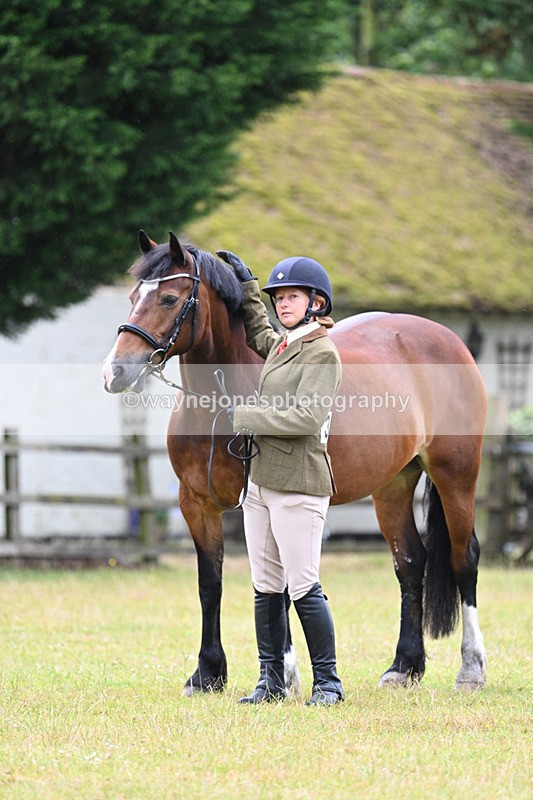 WJ7_6319 - Class 4a Prettiest Mare over 14hh