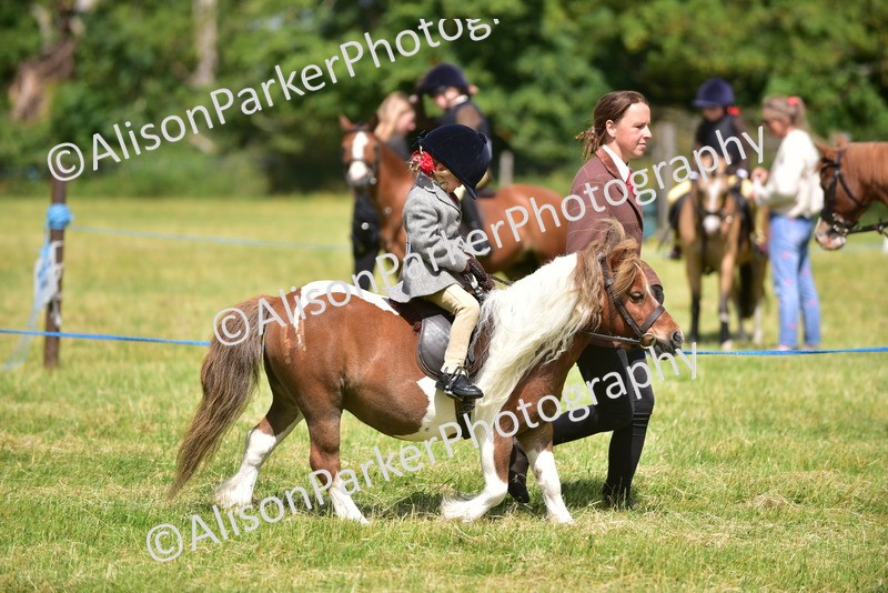 20260614-1170 - Class 11a - Lead Rein Pony (Unplaited)