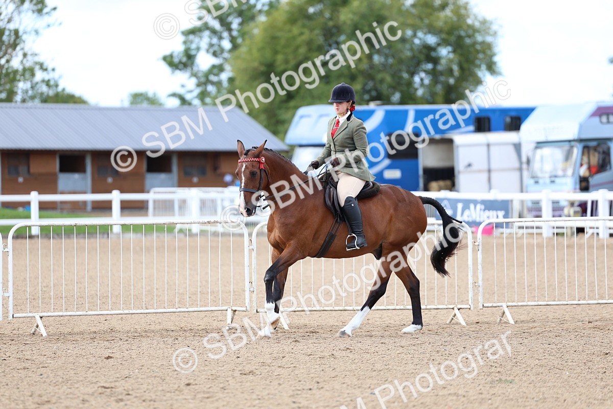 SBM_10093 - Class 304 - Ridden Part Bred Horse Pony
