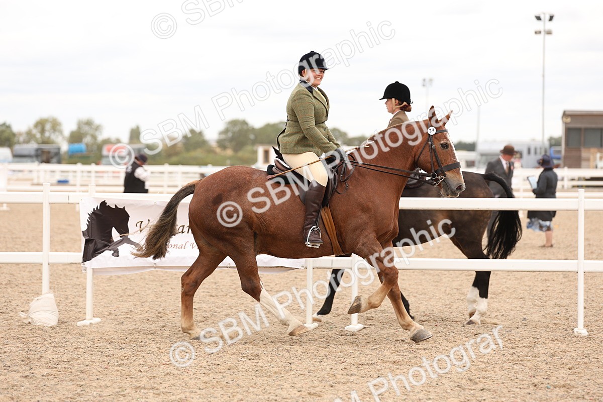 SBM_19531 - Class 215 - Ridden Show cob