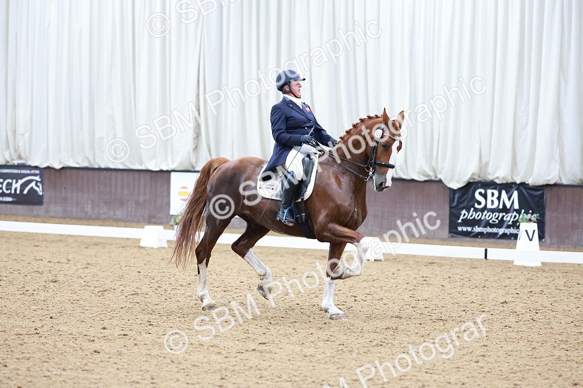 SBM_021280 - Class 14 - FEI Grand Prix - 17.40-18.34