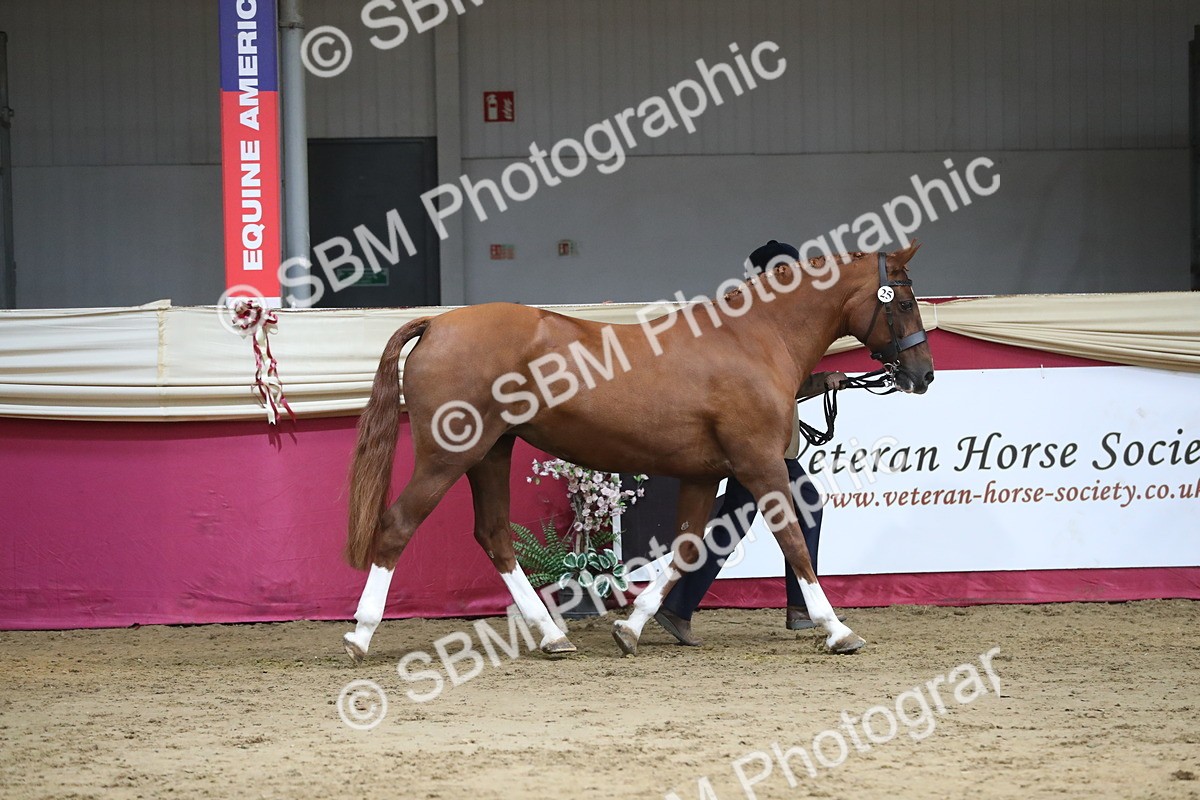 SBM_06544 - Regional IH Champ