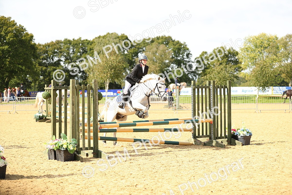 SBM_66052 - J17 - Junior Pony 80cm Championship