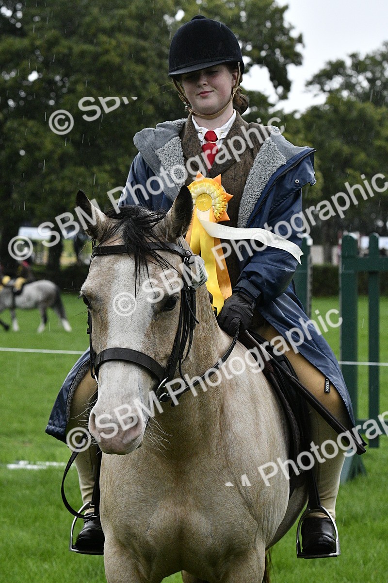 SBM_35610 - S30 - Nursery Stakes Working Hunter Pony