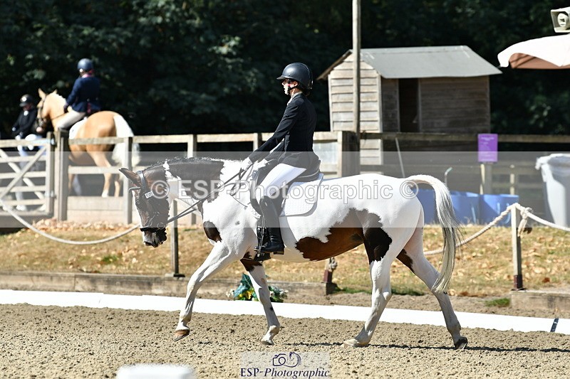 260801A-100304-02804 - Premin Silver Start - 11.35