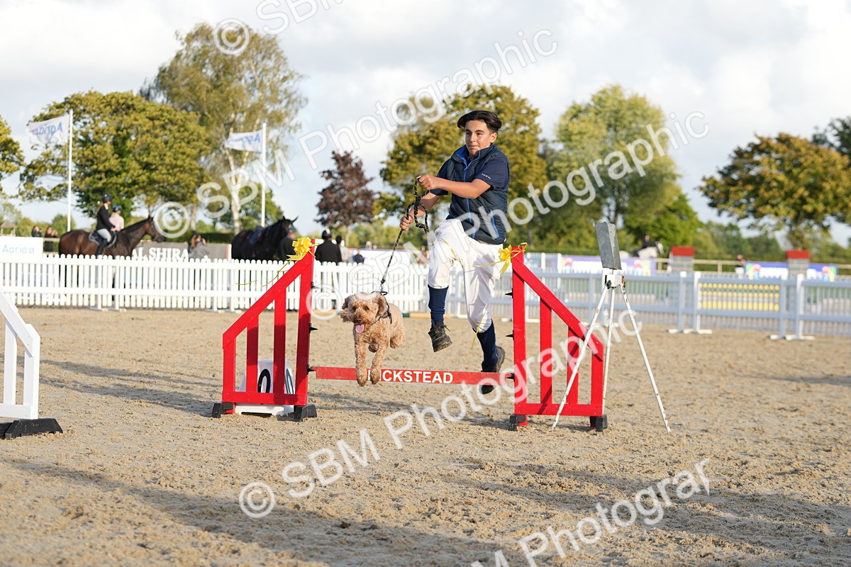 SBM_29443 - J44 - Horse & Hound Open 70cm