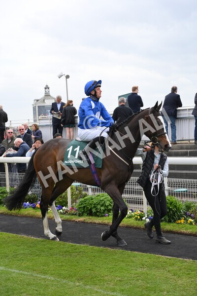 yr13052022r3-6 - Race 3 3.00pm Paddy Power 'I Love Steak' Stakes