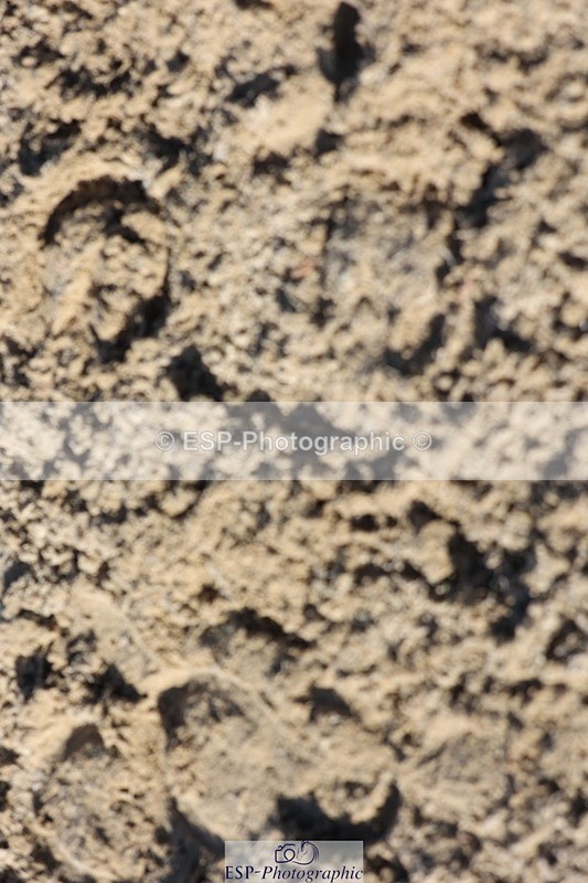 241027-130450-17520 - Presentations - BE90 3DE