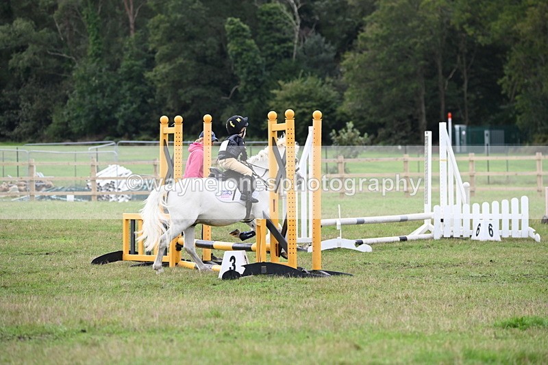 WJ6_0134 - 40cm Time 10:00 to 10:28