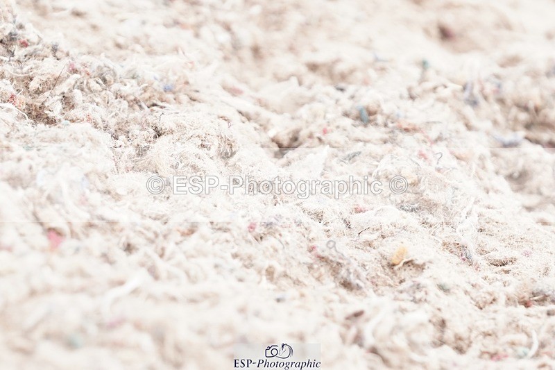 250622-114052-15770 - Cls 55 Freestyle Medium Inc Presentations