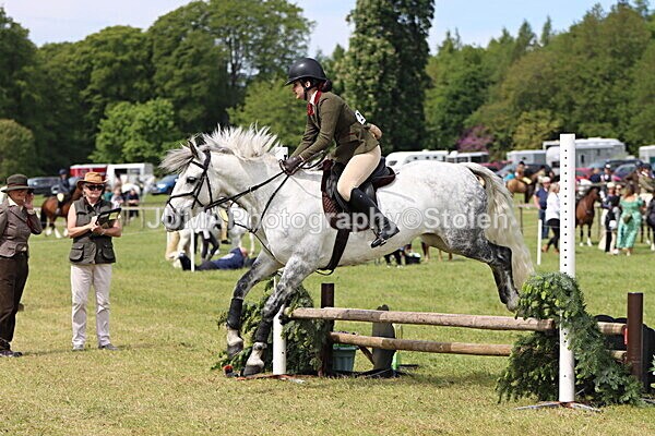 IMG_3114 - Working Hunter