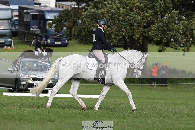 231019-134649-03763 - 437-DONBEG.GREY-Hannah.Underhill-DR