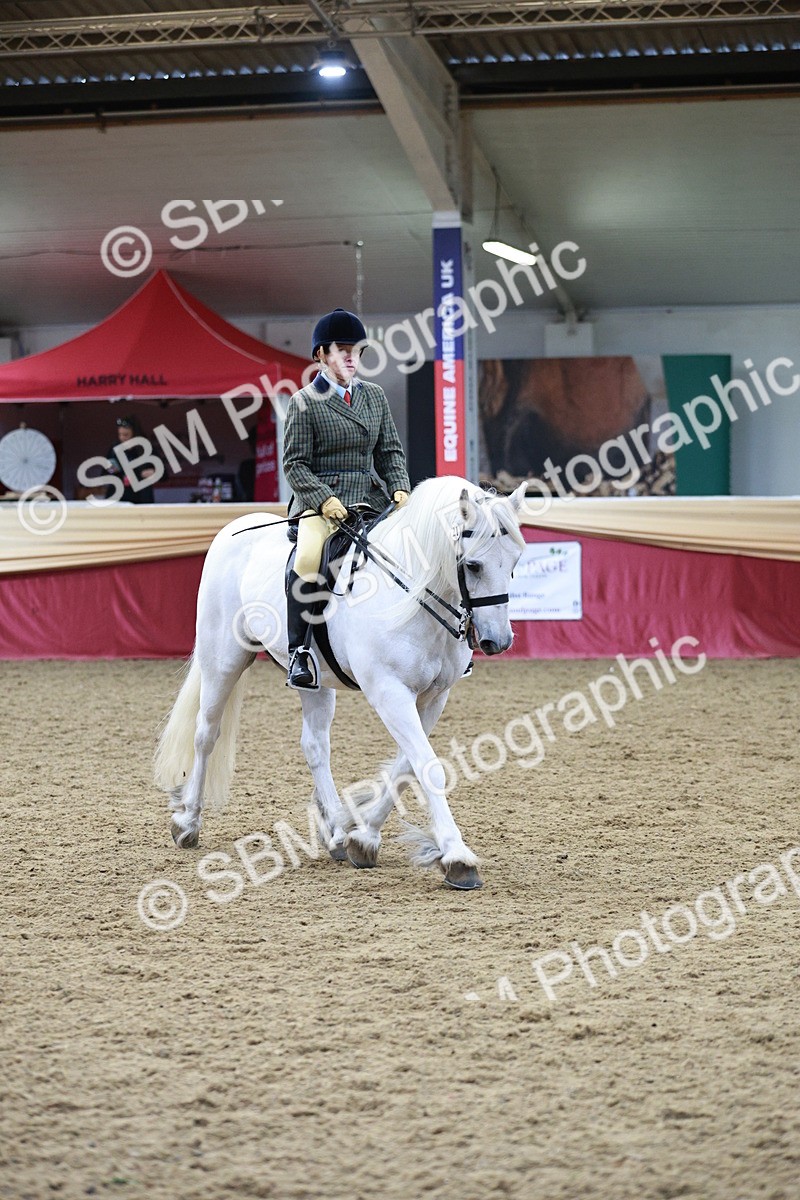 SBM_08252 - Class 11R - Regional Ridden Veteran