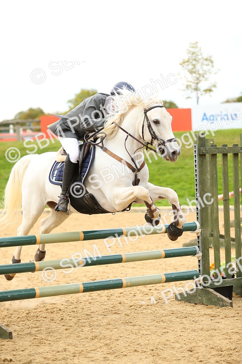 SBM_76129 - J19 - Junior 90cm Supreme Championship