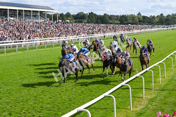 240824-Race 5-Elmonjed-1752 - Race 5 4.10pm Sky Bet Constantine Handicap