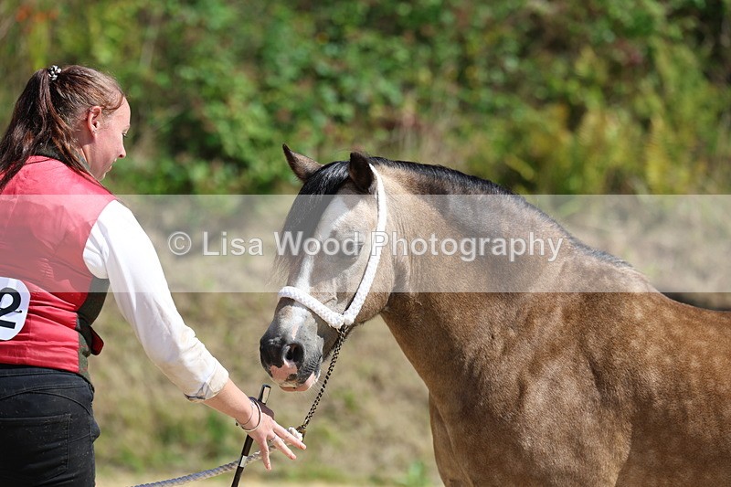 3E7A9677 - Class 32: Best Grass Kept