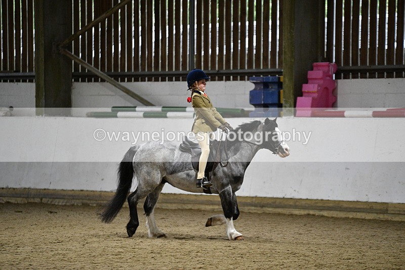 WJ5_8296 - Class 14 Novice Ridden/Rider