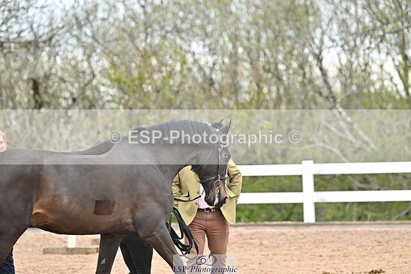 250423-160212-01905 - 4pm to 5pm