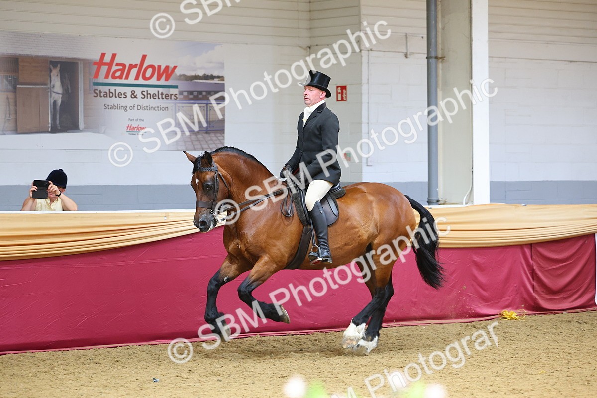 SBM_24385 - Class 906 - Supreme Final - Ridden Pre Vet