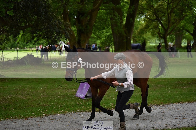 240522-150610-00085 - 305-SWHISKEY-Jeanette_Brakewell