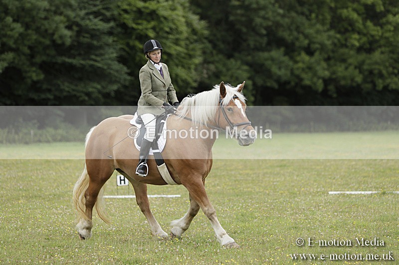 BVR160717-665 - Class 1 & 23a Dressage 16/07/17