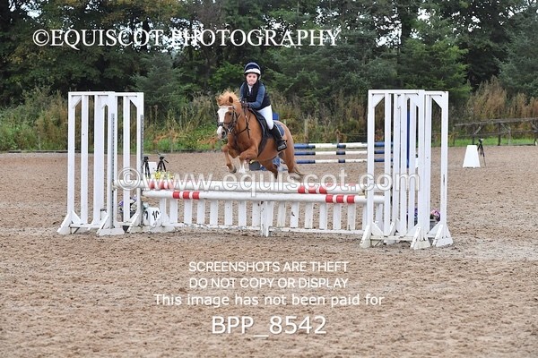 BPP_8542 - CLASS 4 Stepping Stones 128/ 138cms Handicap