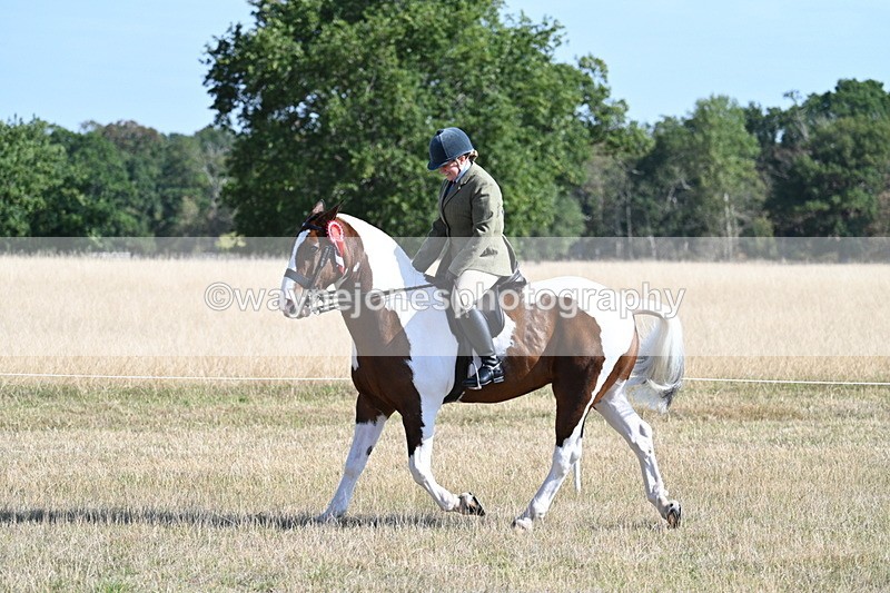 WJ7_3221 - Class 8 Ridden Tack & Turnout