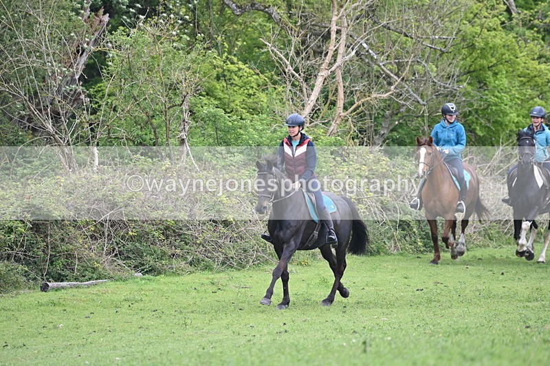 WJ6_2919 - A Camera