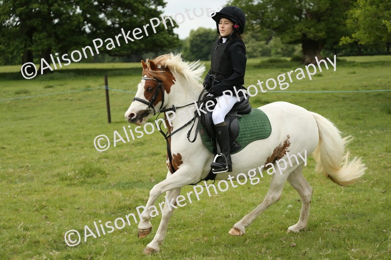 20250517-1192 - Class 21 - Novice Working Hunter