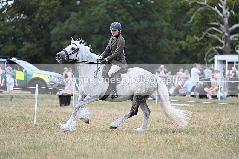 WJ7_5041 - Class 12 Ridden Cob