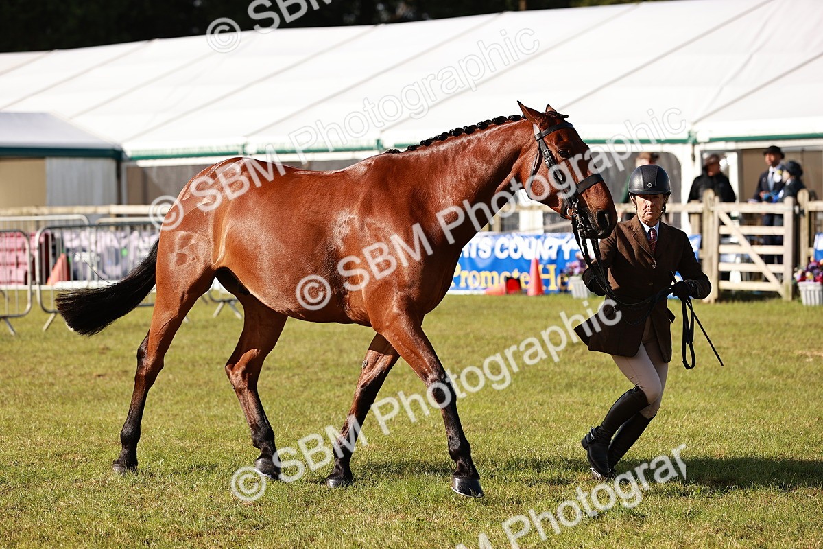 SBM_10803 - Class 81-84 - RIHS Ridden hunters Inc Ladies Hunter
