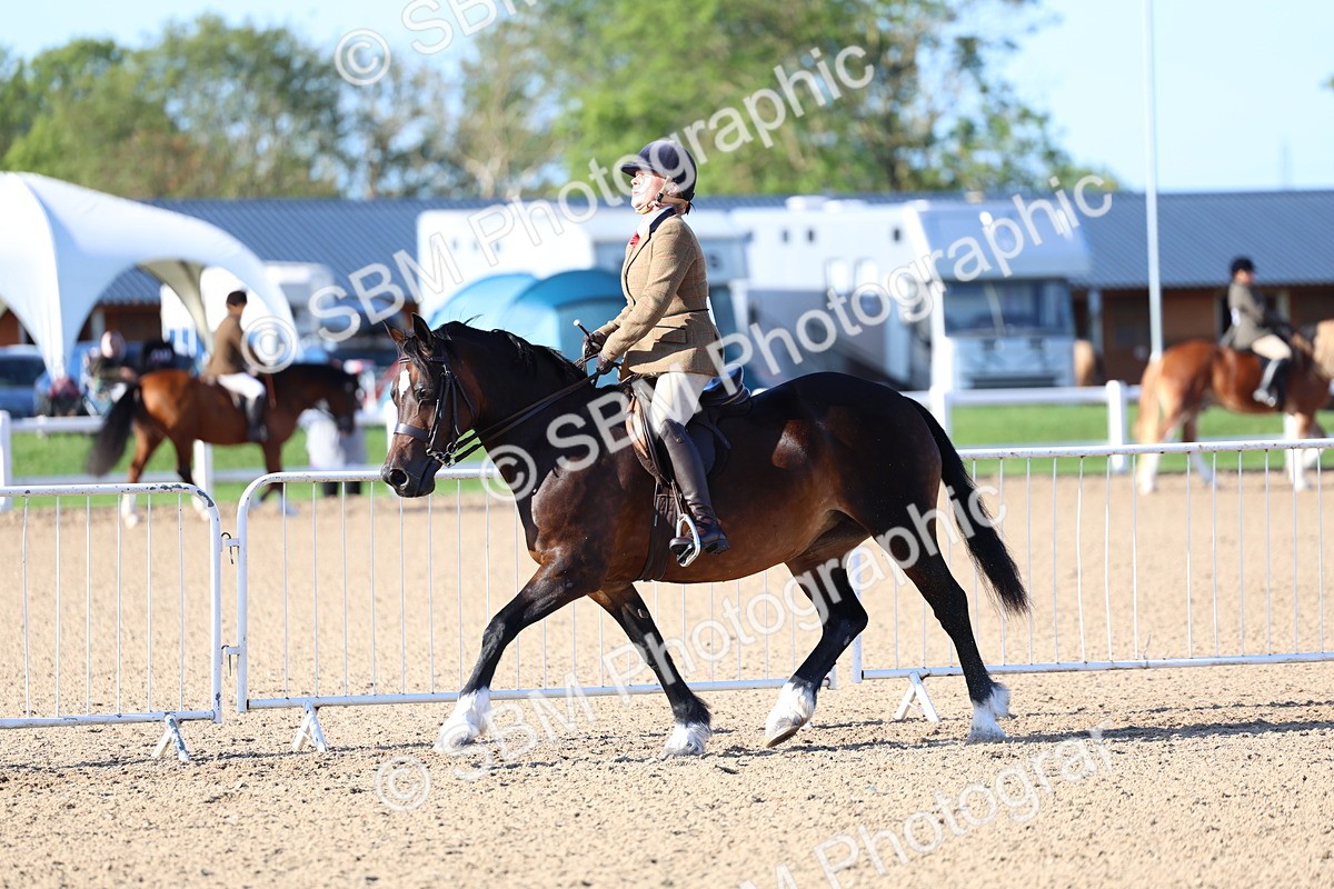 SBM_08799 - Class 302 - Ridden M&M - Large Breeds