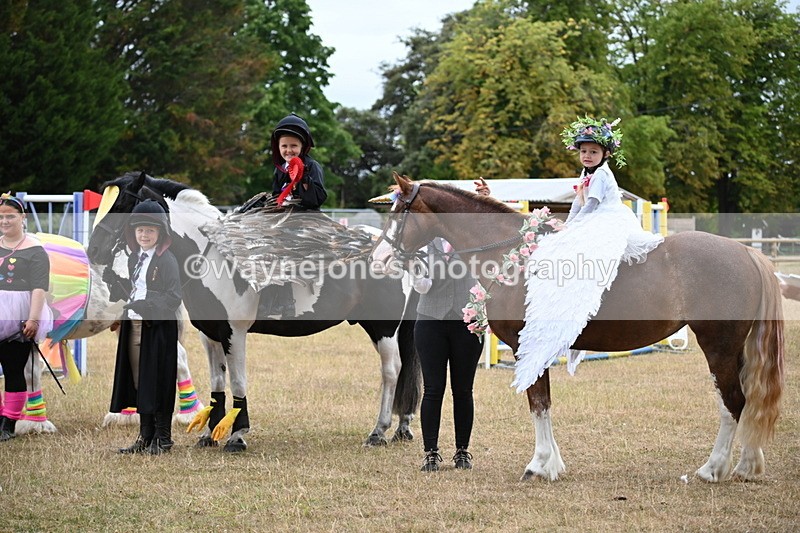 WJ6_9231 - Class 11 Fancy Dress