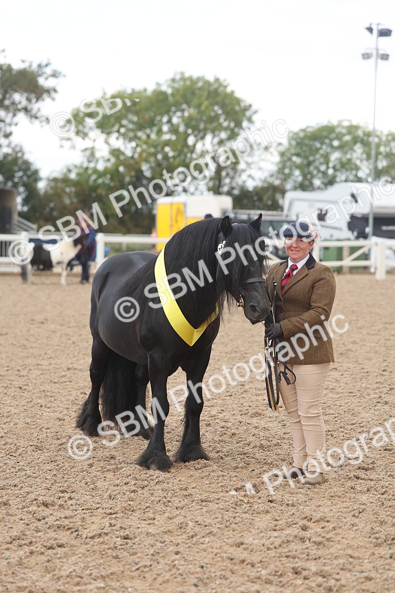 SBM_03297 - Class 16 - IH M&M Wildcard