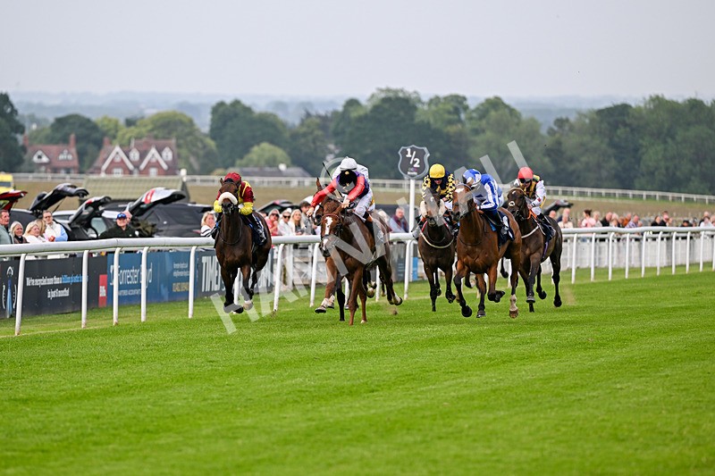 160626-Race 2-Lorcas Waltz-3796 - Race 2 19.00pm Connexin Ultrafast Maiden Stakes