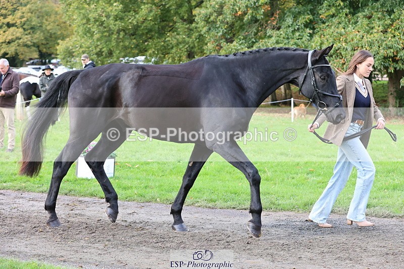 251026A-115147-25725 - G-561-Jack.Jones-Lee