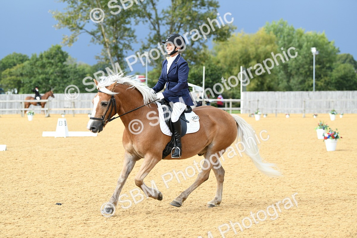 SBM_10930 - D28 Elementary Taster Elementary 42