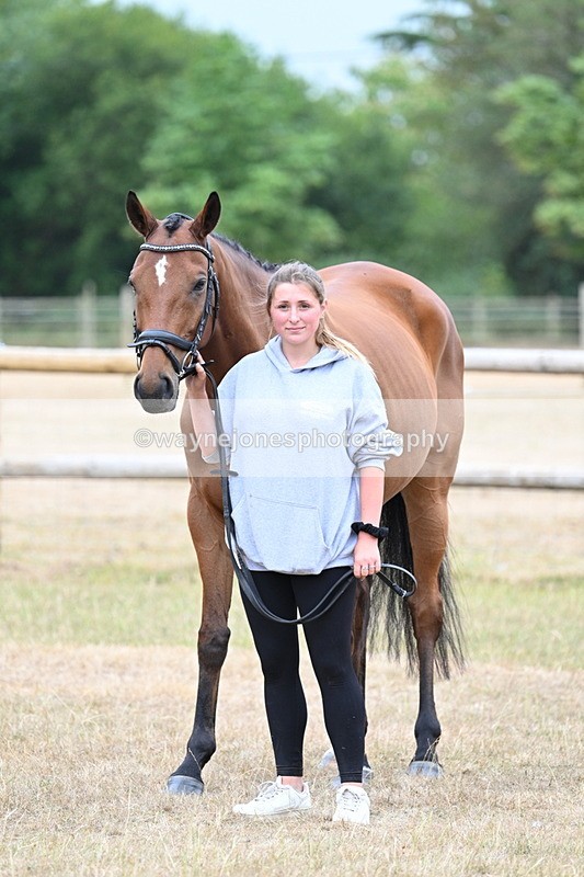 WJ7_9866 - Class 5a Most Handsome Gelding (above 14.2hh)