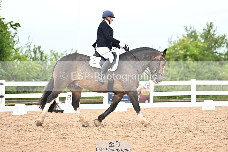 240623A-151552-19530 - Cls 51 BD Elementary 53